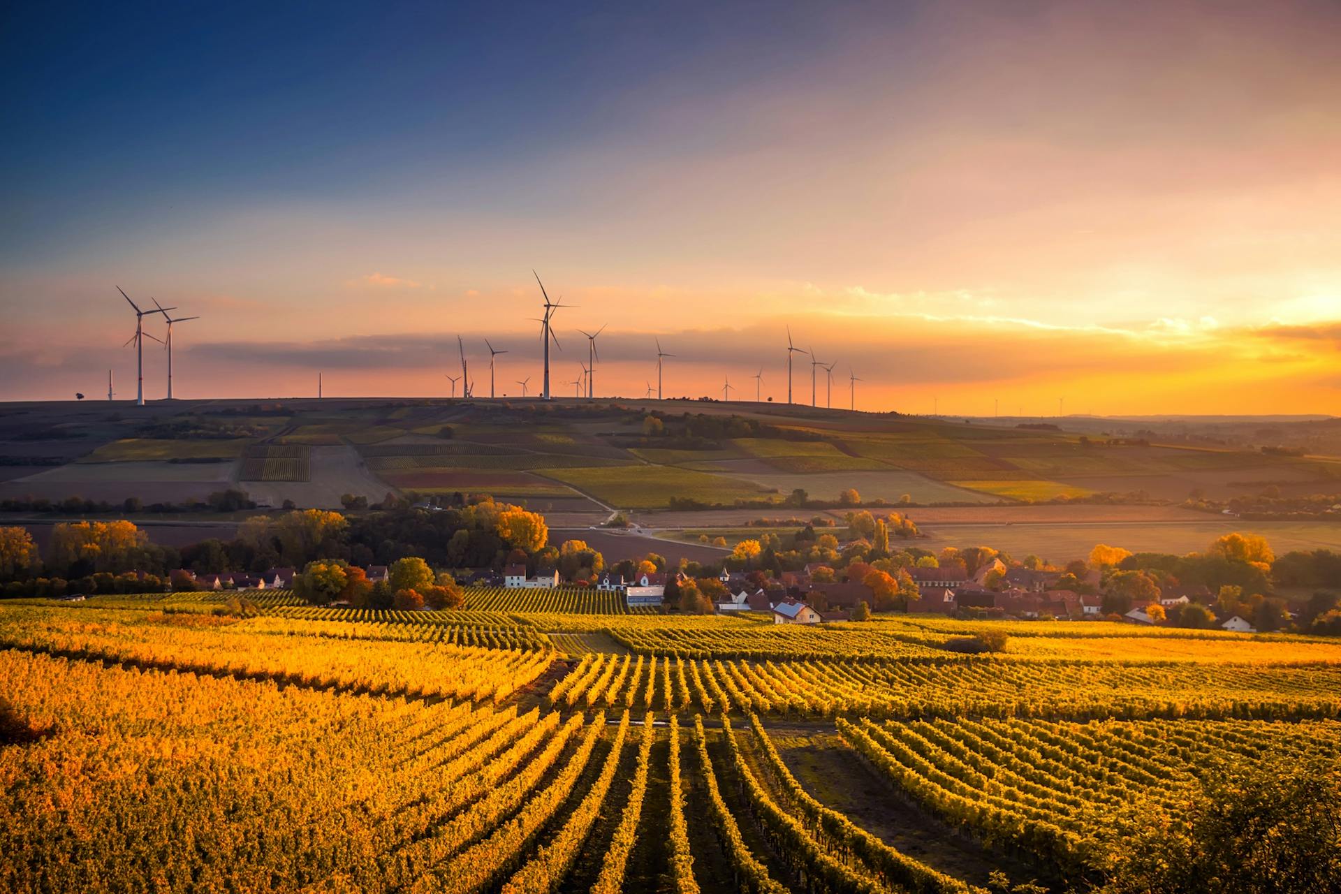 Landscape representing environmental responsibility